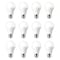 Miracle Led Energy Saver LED Bulbs, 9 Watt, 12PK 603657 - alternate 3